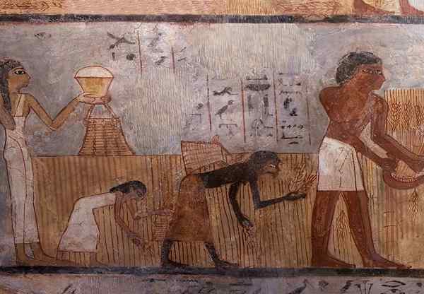 7 ekonomické činnosti Egypta