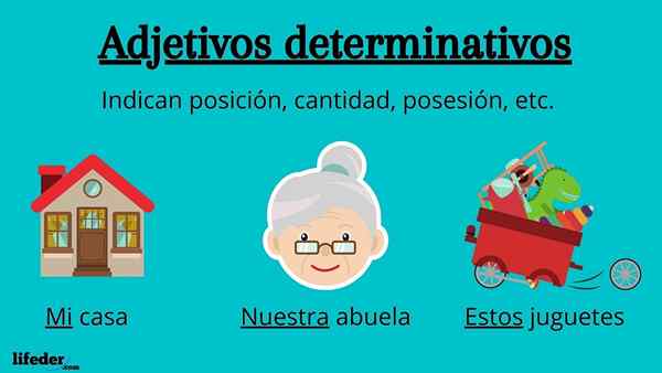 Adjetivos determinantes