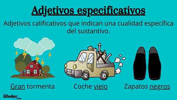 Adjetivos específicos