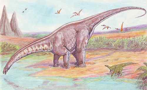 Charakteristiky apatosaurus, biotop, jedlo