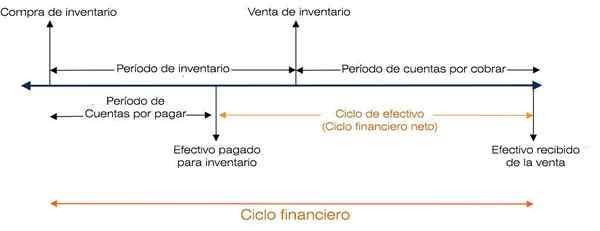 Ciclo finanziario di un concetto e caratteristiche dell'azienda