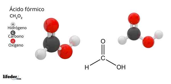 Asam Format (HCOOH)