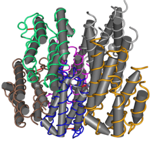 Citocinsegenskaper, typer, funktioner, exempel