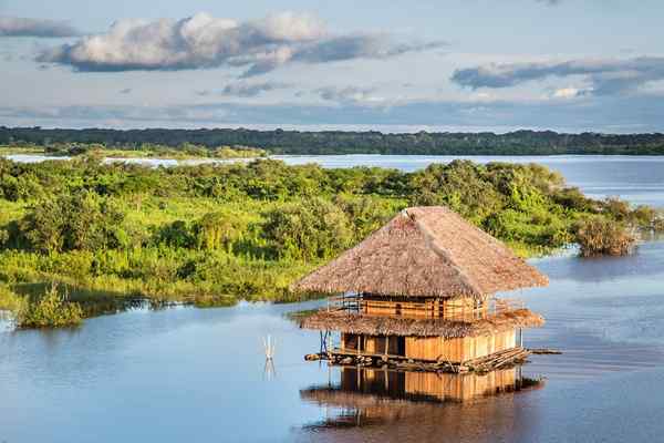 Wat zijn de afdelingen van de jungle van Peru?