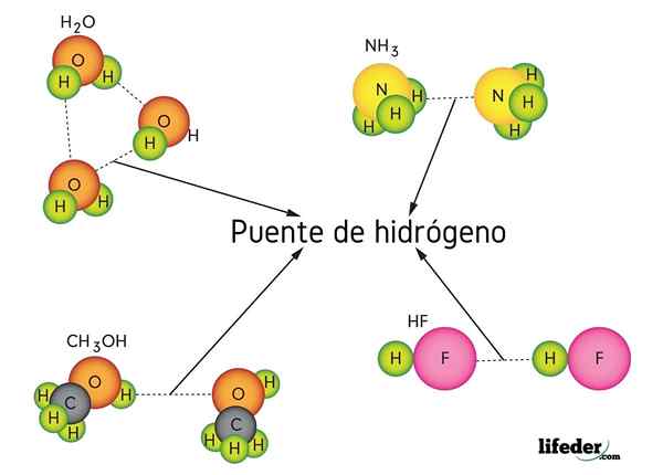 Lien de pont hydrogène