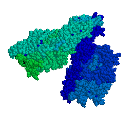 Structure des phospholipases, fonctions, types