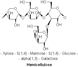 Hemicelluloseklassifisering, struktur, biosyntese, funksjoner