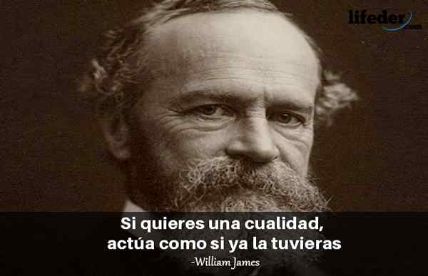 As melhores frases de William James