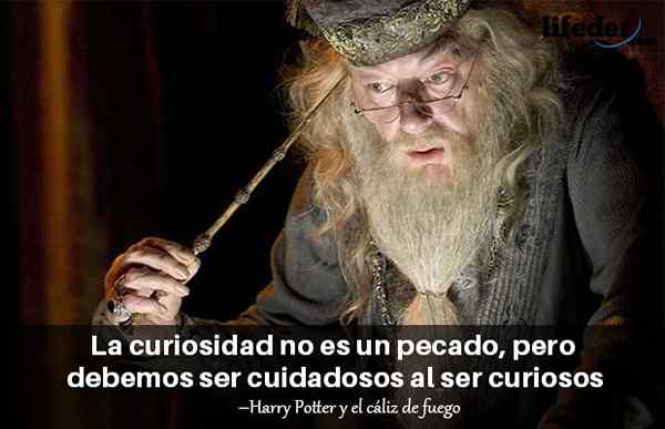 As 80 melhores frases de Albus Dumbledore