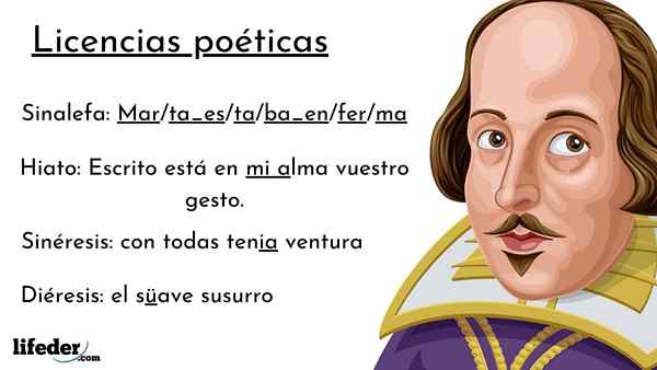 Poetiska licenser