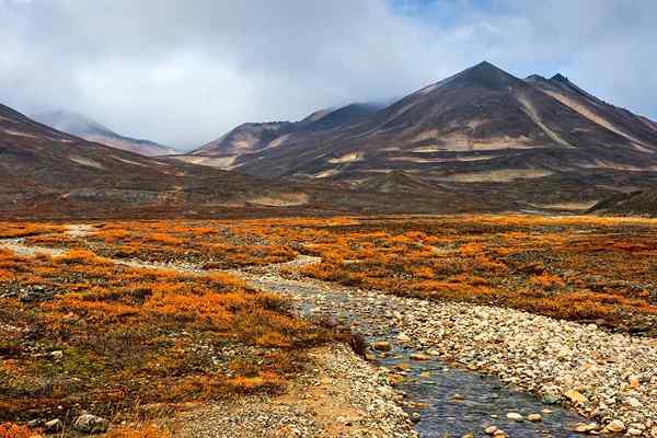 De 10 biomene i Mexico og dens egenskaper