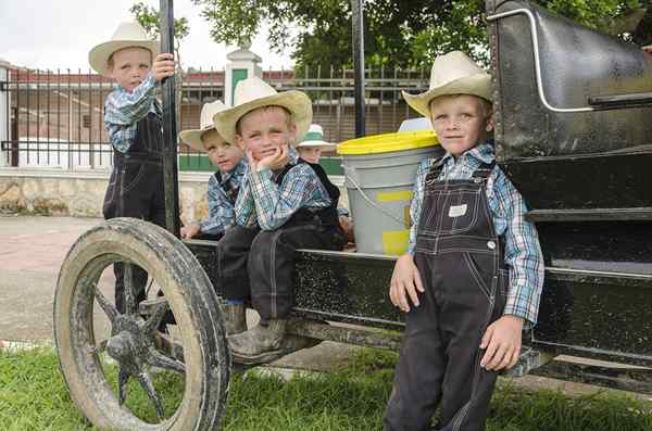 Mennonite v Mehiki