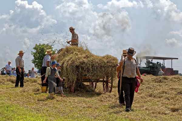 Mennonites