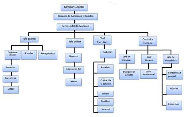 Grafico dell'organizzazione di un ristorante e le sue funzioni