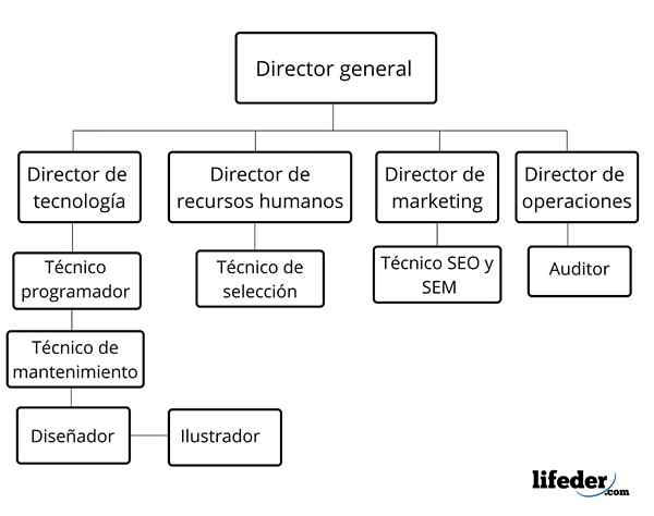 Blandad organisationsdiagram