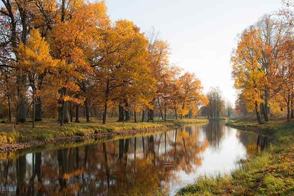 Poèmes d'automne