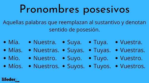 Pronomes possessivos