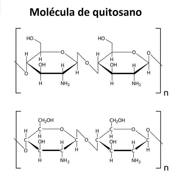 Kitosan