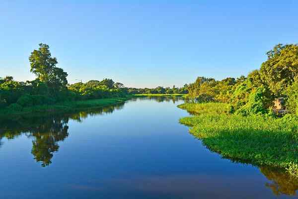 Pilcomayo River