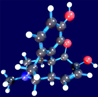 Classificazione delle sostanze ergastiche e importanza biologica