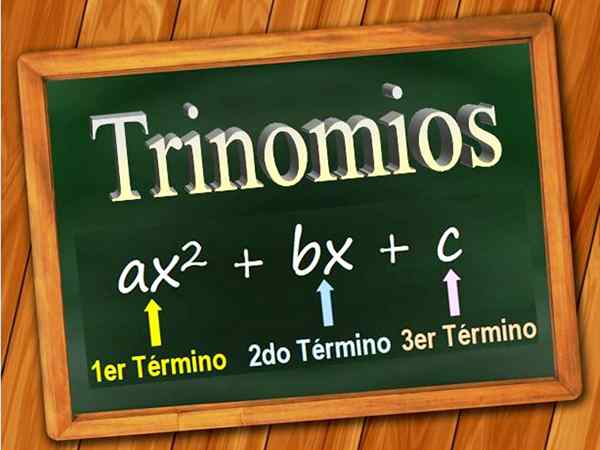 Trinomial