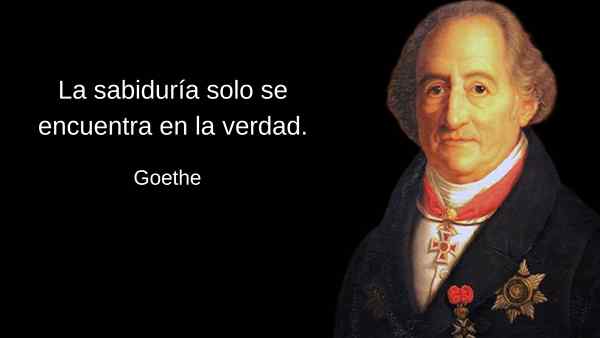 100 Goethe -lauseita