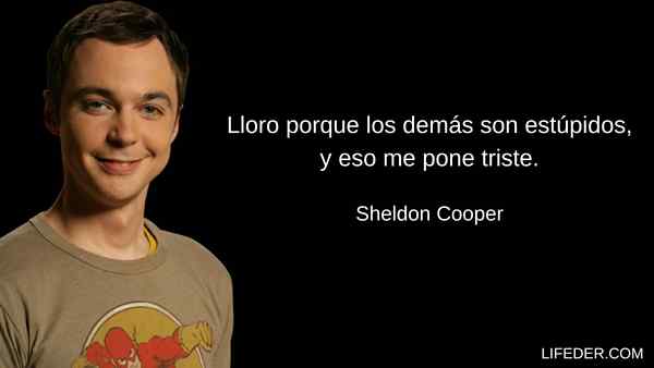 100 lauseita Sheldon Cooper -portista ja sarkastista