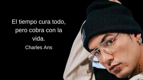 60 frases de Charles Ans