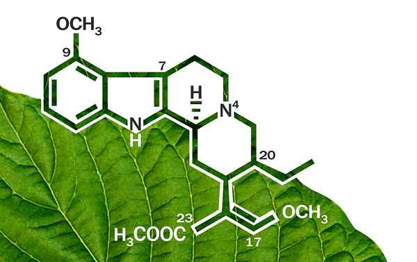 Alcaloids