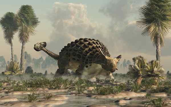 Anquilosaur (Ankylosaurus)