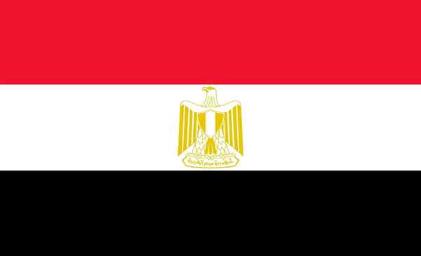 Egyptische vlag