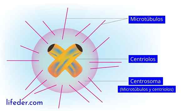 Centriranje