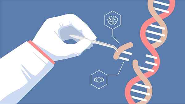 Quão artificialmente modificou o DNA de um organismo em um sistema de laboratório?