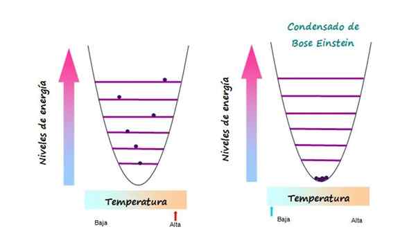 Bose Einstein condensaat