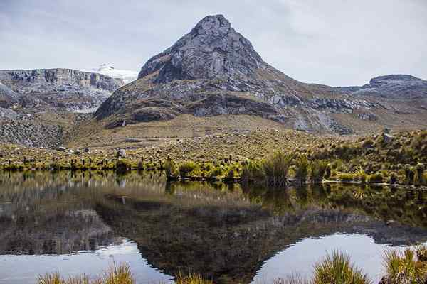 Östra cordillera de colombia