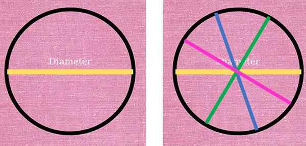 Quantos diâmetros uma circunferência tem?