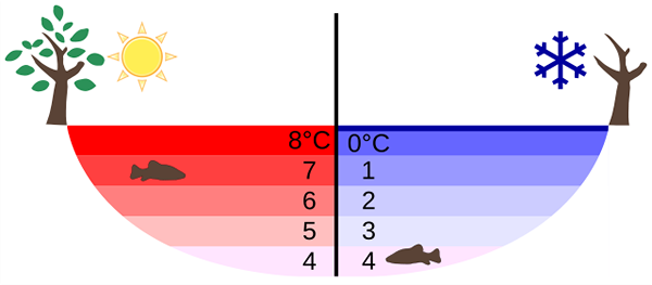 Toplotna dilatacija