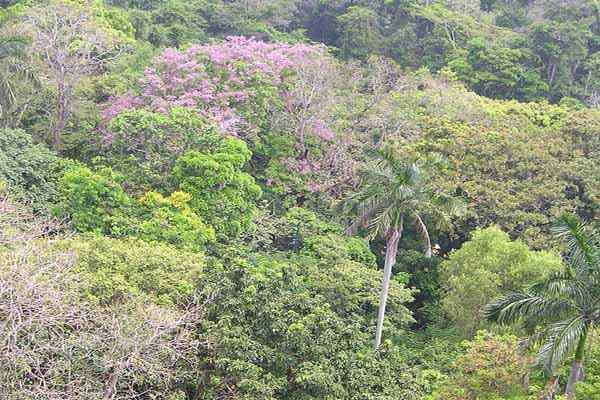 Ecosystemen van Mexico