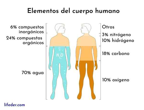 Elemen biogenetik