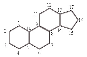 Características esteróides, estrutura, funções, classificação