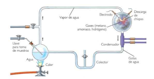 Miller en Urey Experiment