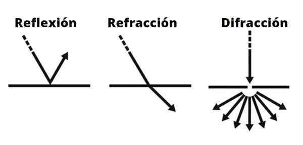 Fenômenos ondulados