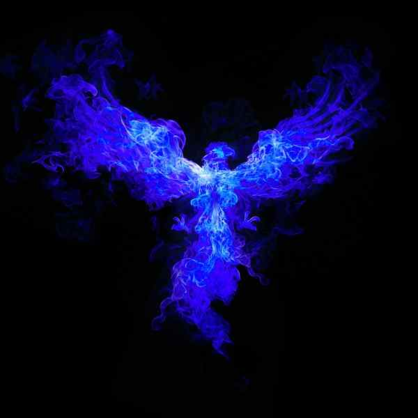 Blue Phoenix