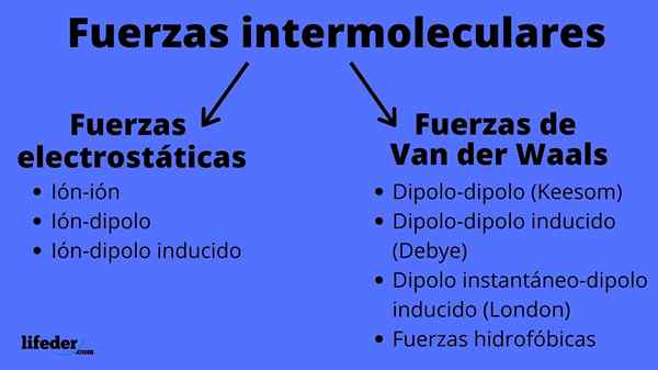 Forces intermoléculaires