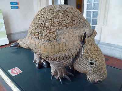 Giptodonte