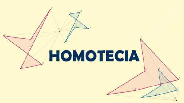 Homotecia