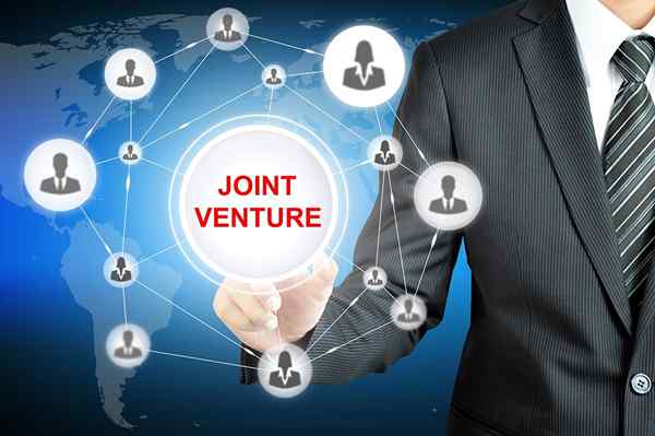 Joint Venture