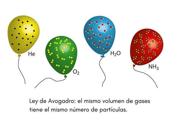 Lei Avogadro