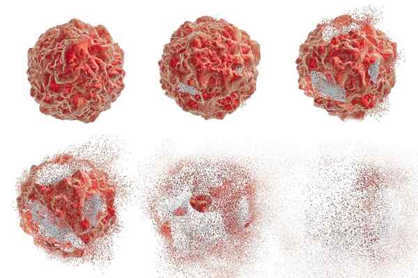 Lysis selular