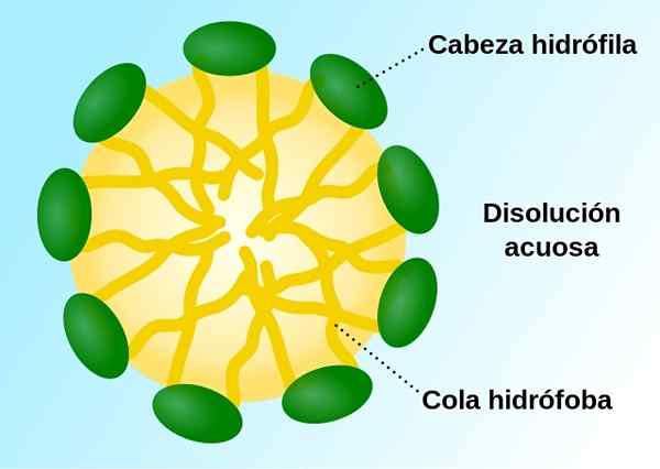 Micelles